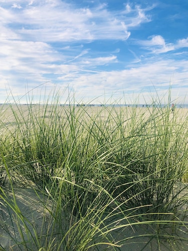 Wundersch öne moderne Ferienwohnung in begehrter Lage von Norddeich!