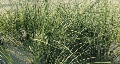 Beautiful modern apartment in a sought-after location in Norddeich!