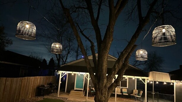 A tree in a backyard with hanging light fixtures.