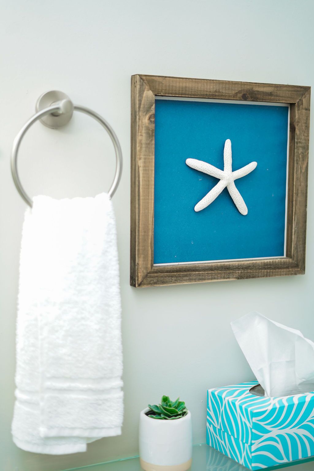 A bathroom with a white towel hanging on a metal ring, a framed picture of a starfish on the wall, a small potted plant, and a tissue box.