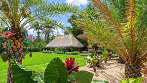 A tropical garden with palm trees, a thatched-roof structure, and a well-maintained lawn. - Huge Ultra Estate on an Acre! Night Club, Gameroom, Hot-Tub. Pool, Tiki (North Miami Beach)