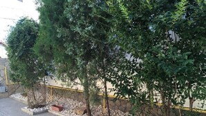 A landscaped area with trees, gravel paths, and a stone wall. - Step Inn (Alba Iulia)