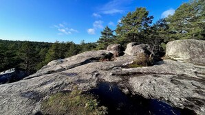 A rocky landscape with large boulders and dense forest under a clear blue sky. - Le repaire de Barbizon (Barbizon)