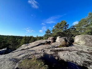 Miscellaneous - Le repaire de Barbizon (Barbizon)