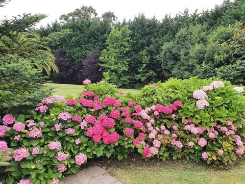 APARTAMENTO CON ENTRADA POR JARDÍN EN URBANIZACION PRIVADA A 5 MIN DE LA PLAYA 