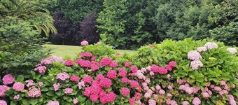 APARTMENT WITH ENTRANCE THROUGH GARDEN IN PRIVATE URBANIZATION 5 MIN FROM THE BEACH 