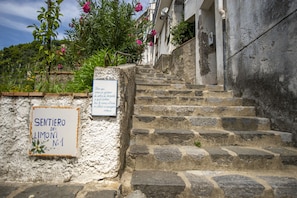 Detalle exterior