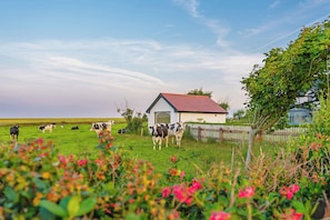 A rural landscape with a small white building, a fenced area with cows, and a clear sky. - 5-star rural escape hidden between the coastal towns of Kinsale and Clonakilty, (Clonakilty)
