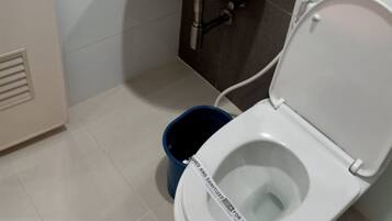 Ducha, cabezal de ducha tipo lluvia, artículos de tocador gratuitos