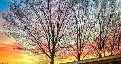 Your family home away from home!