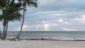 En la playa, camastros y toallas de playa 