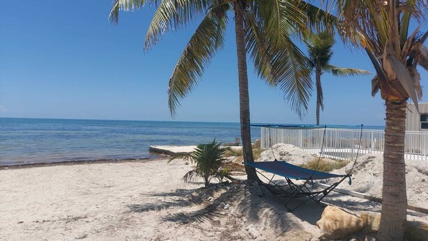 A beach with a hammock, palm trees, and a clear view of the ocean. - Viamarhe-3/1 Ground Level Oceanfront home w/Kayaks, Yard Games & More (Marathon)