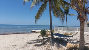 A beach with a hammock, palm trees, and a clear view of the ocean.
