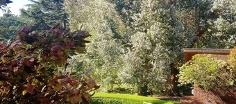 Chalet Serrano, lagoon, pool and sea!