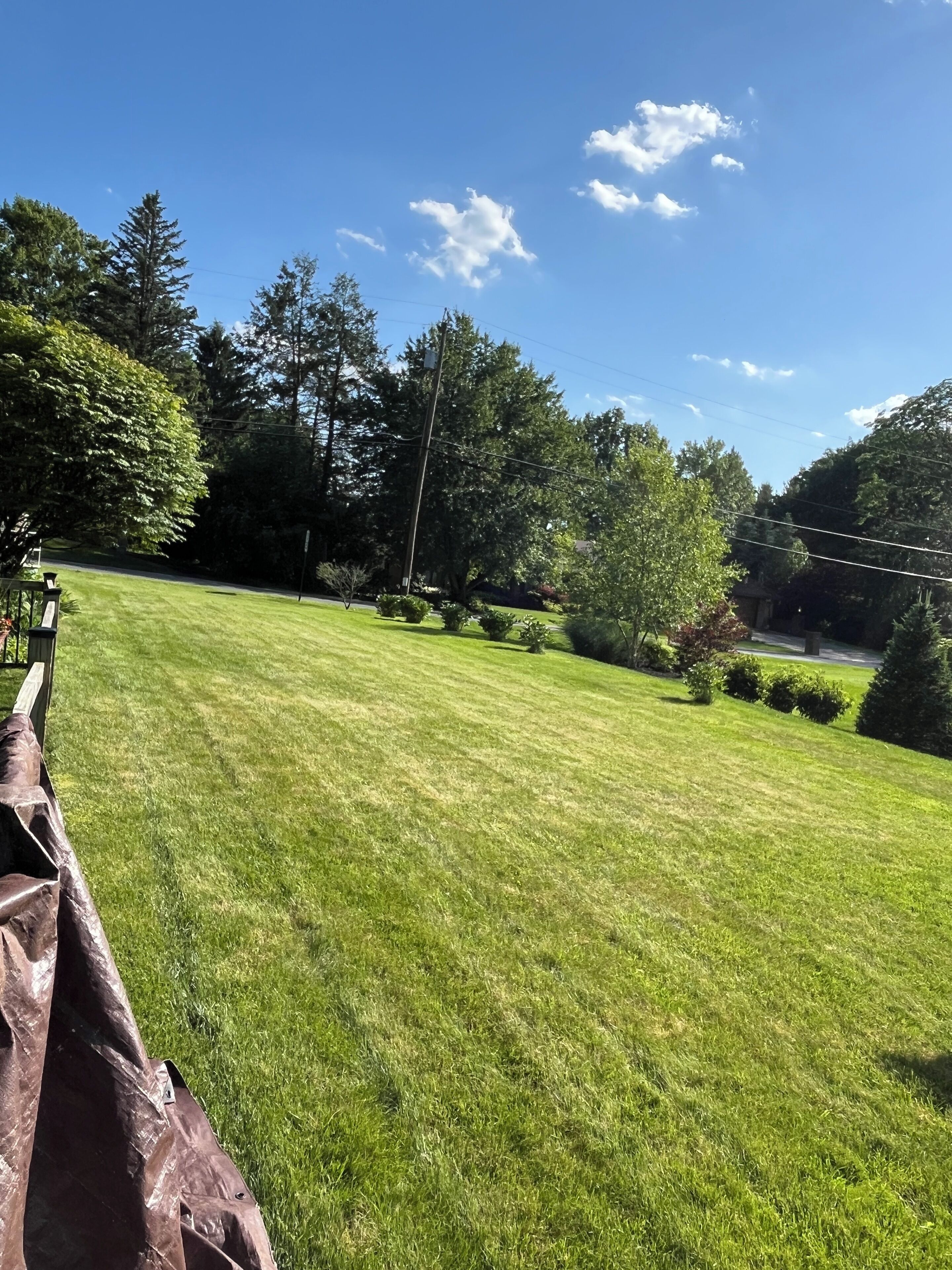 A well-maintained grassy lawn with a metal sculpture in the foreground, surrounded by trees and a clear blue sky.