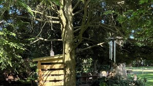 Un vialetto di giardino con una struttura in legno, circondato da diverse piante e un dipinto decorativo floreale.