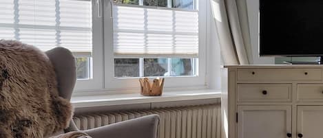 TV, DVD player, books, video library