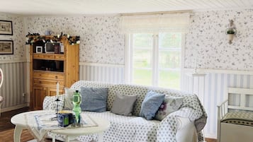 TV, fireplace, DVD player, books