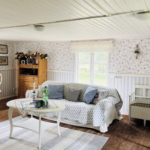 TV, fireplace, DVD player, books