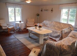 TV, fireplace, DVD player, books
