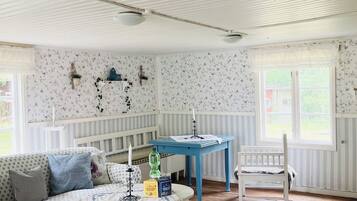 TV, fireplace, DVD player, books