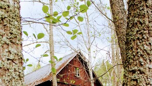 A rustic wooden cabin surrounded by trees and grass. - In the footsteps of Astrid Lindgren - vacation home with 110 sqm (Trånshult)