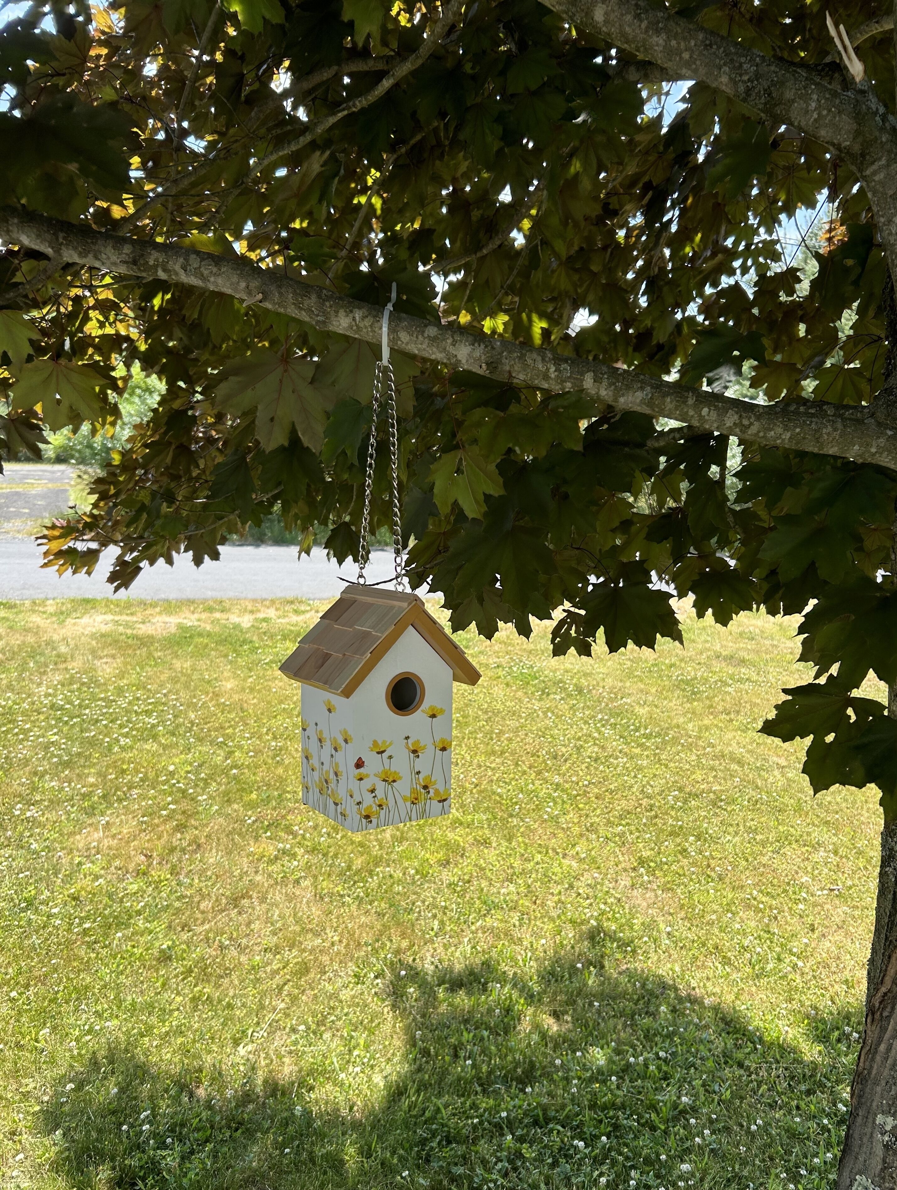 A birdhouse hanging from a tree branch in a grassy area.
