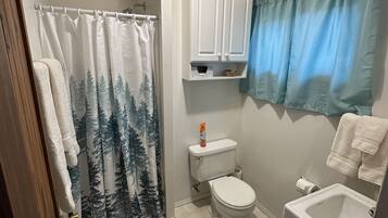 Shower, hair dryer, soap, toilet paper