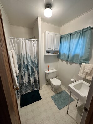 Shower, hair dryer, soap, toilet paper