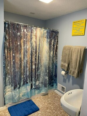 Hair dryer, towels, soap, shampoo