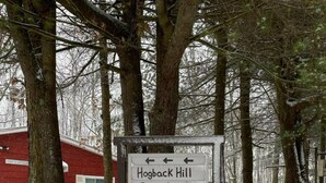A sign for Hogback Hill Cabin Rentals with directional arrows and a website URL.