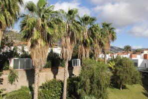 Property grounds - Pátio da Achada View Apartment (Funchal)