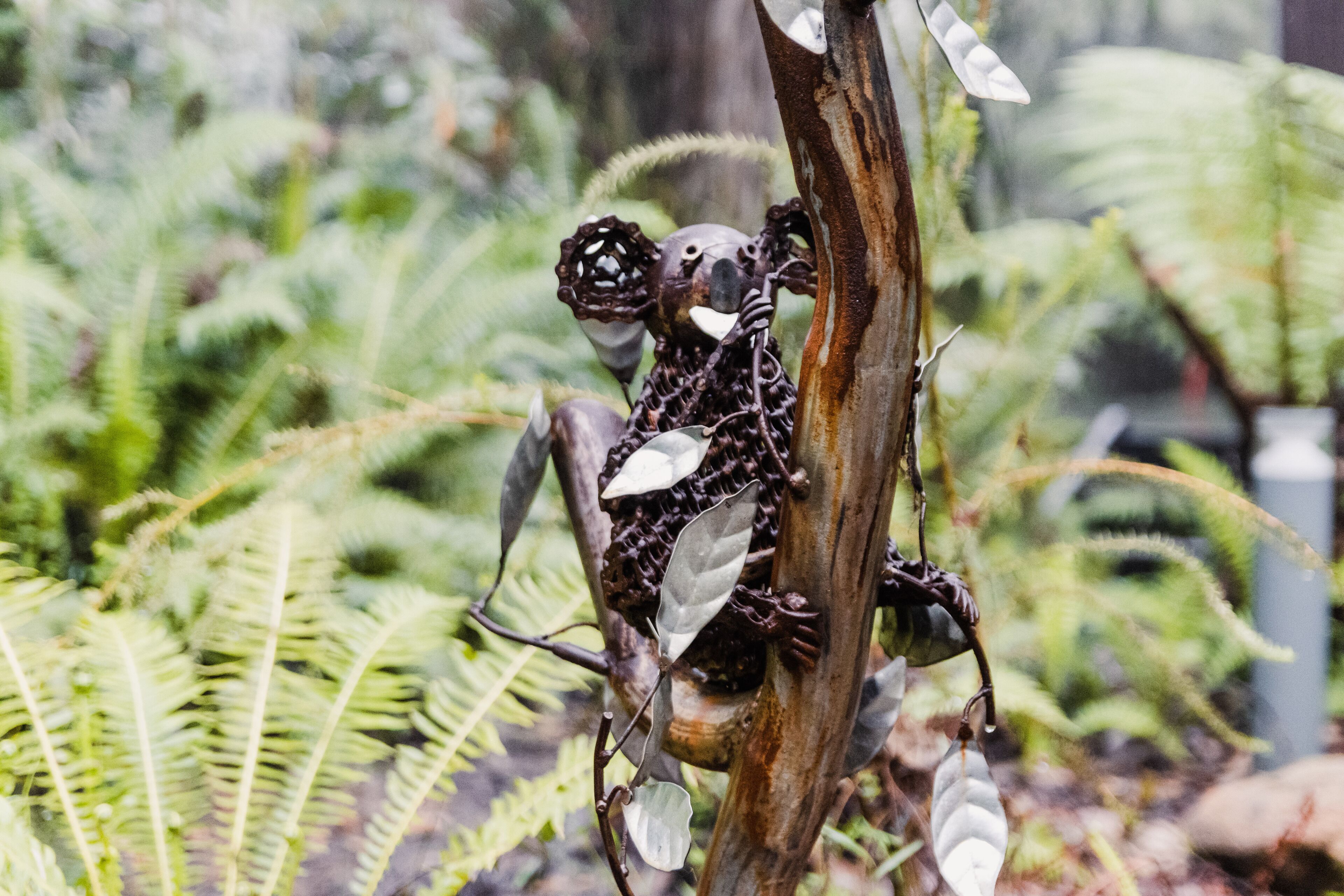 A sculpture of a koala clinging to a tree branch amidst lush green ferns.