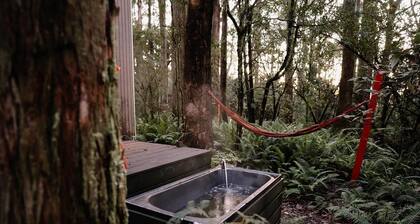 Tiny- ECO House -Kensho- COMPLIMENTARY ROMANTIC PACKAGE WORTH $75