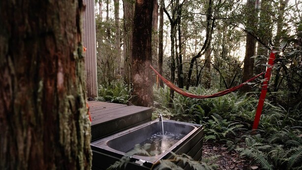 A hot tub in a forested area with a wooden deck and a red rope barrier. - Tiny -Eco House -Kokoro.  COMPLIMENTARY ROMANTIC PACKAGE worth $75 -OTWAYS LORNE (Benwerrin)