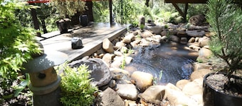 Tiny -Eco House -Kokoro