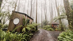 A rustic cabin with a circular window, surrounded by dense ferns and tall trees in a foggy forest. - Tiny -Eco House -Kokoro.  COMPLIMENTARY ROMANTIC PACKAGE worth $75 -OTWAYS LORNE (Benwerrin)