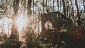 A wooden cabin with a circular window, surrounded by a forest with sunlight filtering through the trees. - Tiny -Eco House -Kokoro.  COMPLIMENTARY ROMANTIC PACKAGE worth $75 -OTWAYS LORNE (Benwerrin)