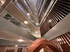 庭院景观