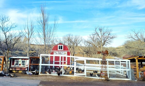 A red barn with a sign reading "The Farm at Mt. Carmel."