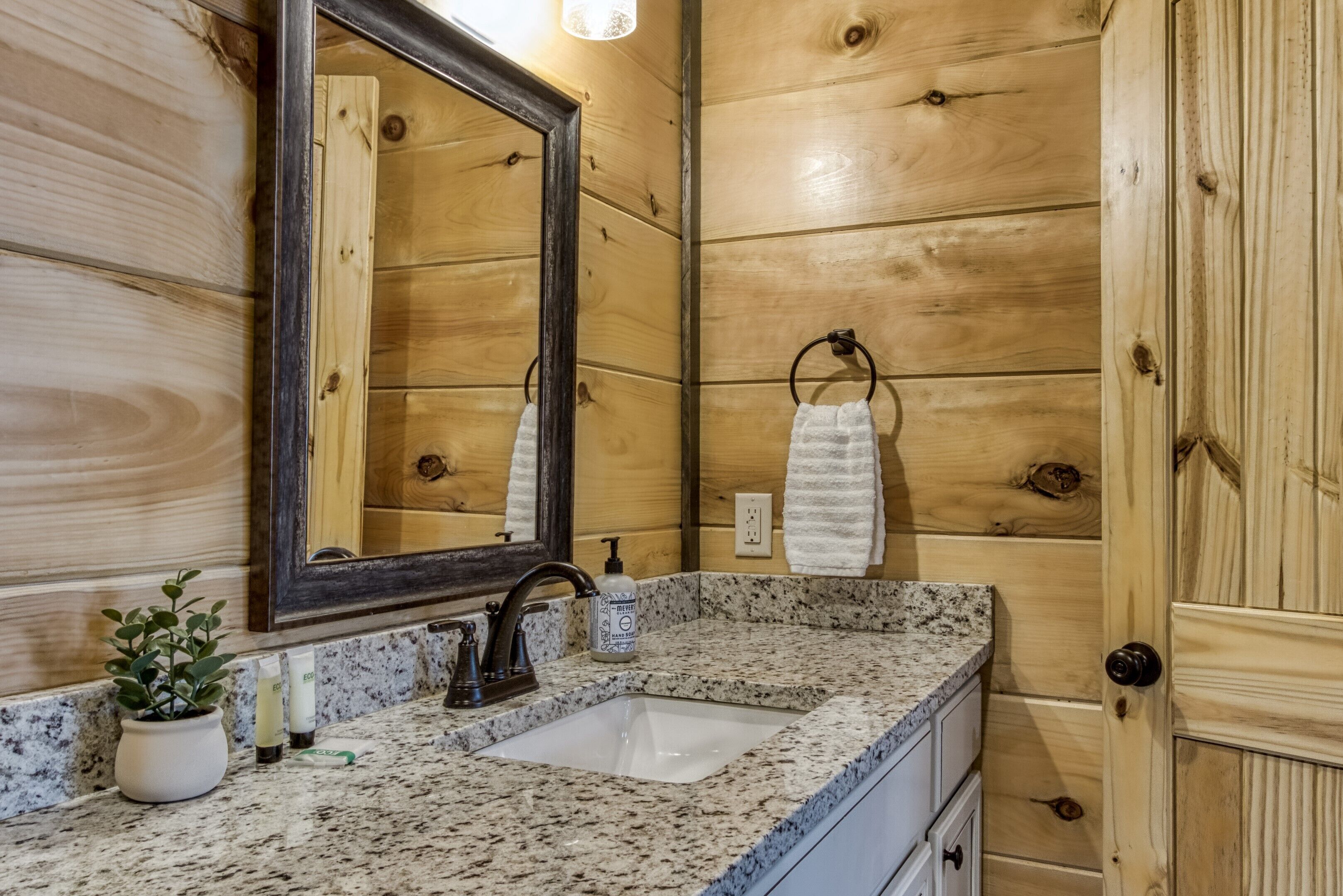 A bathroom with a granite countertop, a sink, a mirror, a potted plant, and wooden paneling.