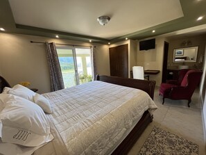 Habitación doble | Escritorio, tabla de planchar con plancha, wifi gratis y ropa de cama 