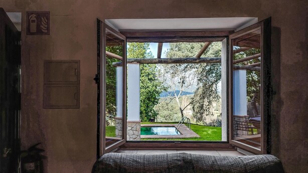 An open window with a view of a swimming pool and greenery.
