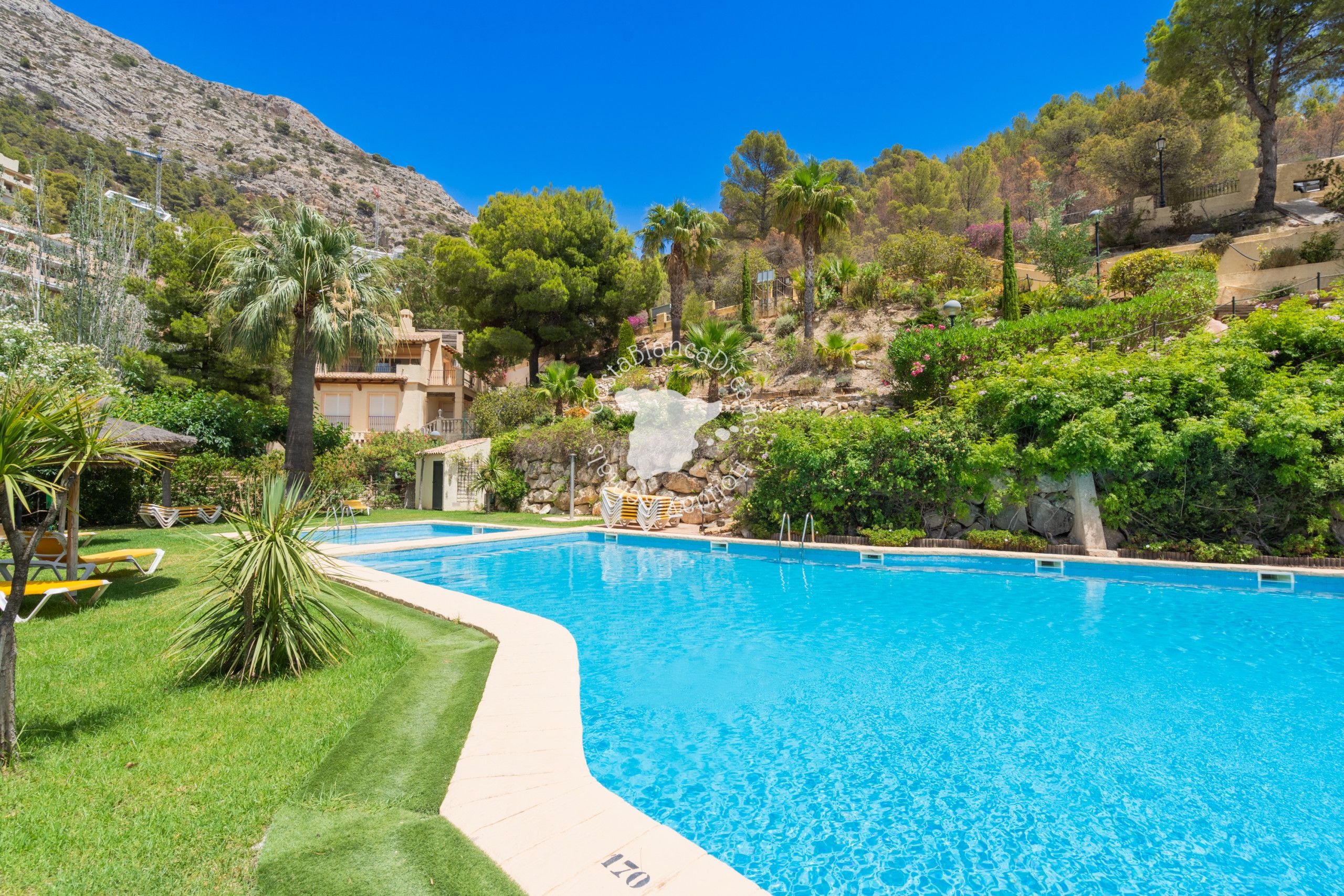 A swimming pool with a clear blue water, surrounded by green grass and trees.