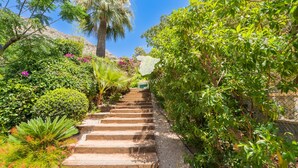 Escadaria de pedra cercada por vegetação exuberante e uma palmeira.