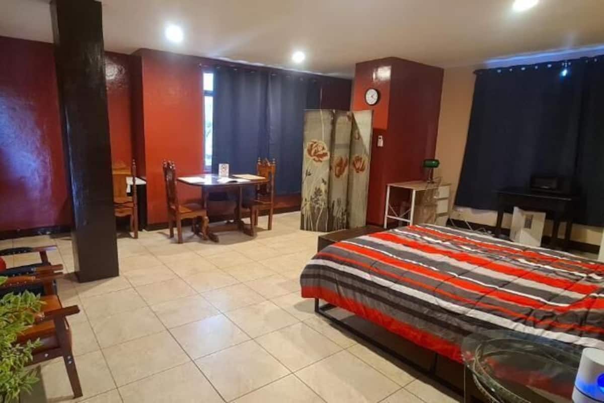 Business Apartment, 1 Queen Bed | Living area