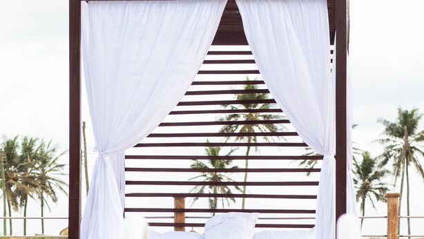 A poolside bed with white curtains, a view of palm trees, and a tiled pool.