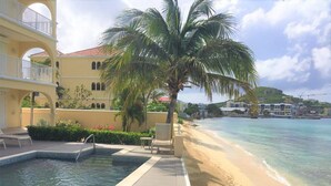 Piscina de resort con terraza de madera, una palmera y vista a la playa.