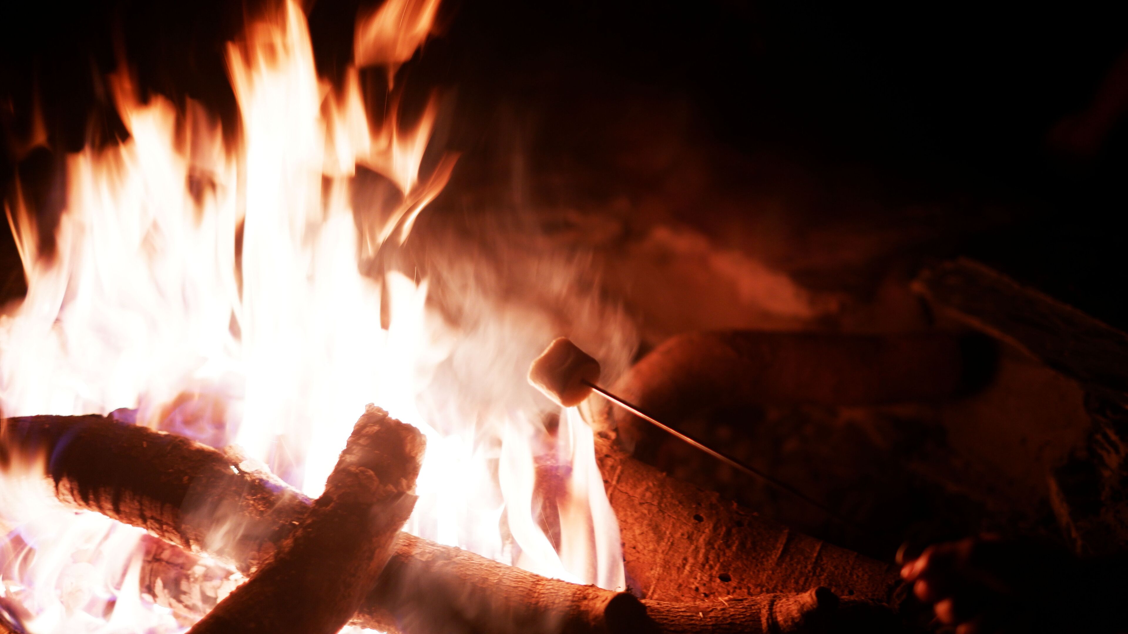 A campfire with logs and a marshmallow on a stick.