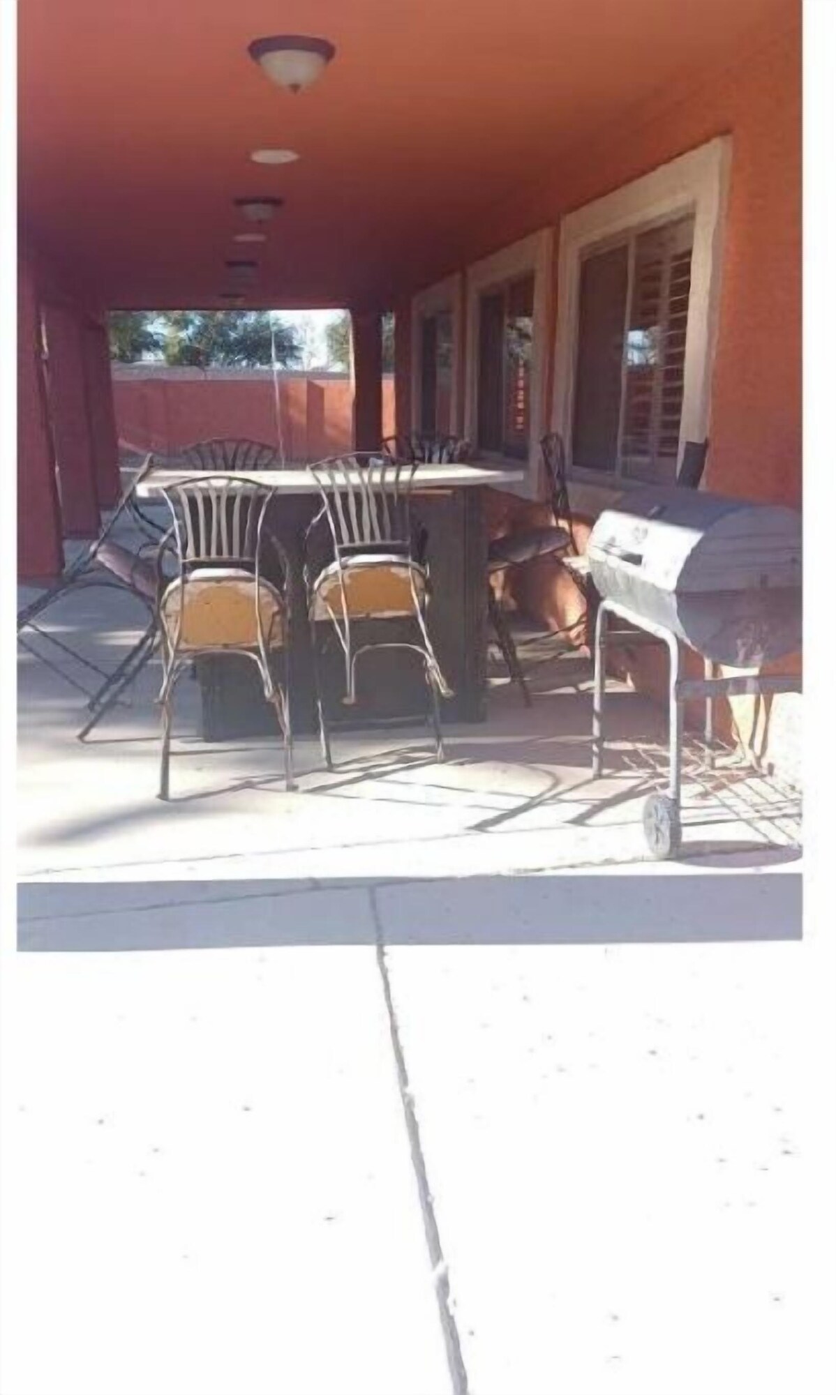 Image de profil de l’hôte